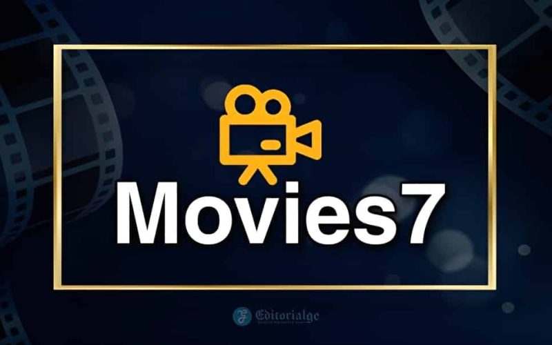 Movies7to: The Piracy Site That Keeps Resurfacing Despite Legal Crackdowns
