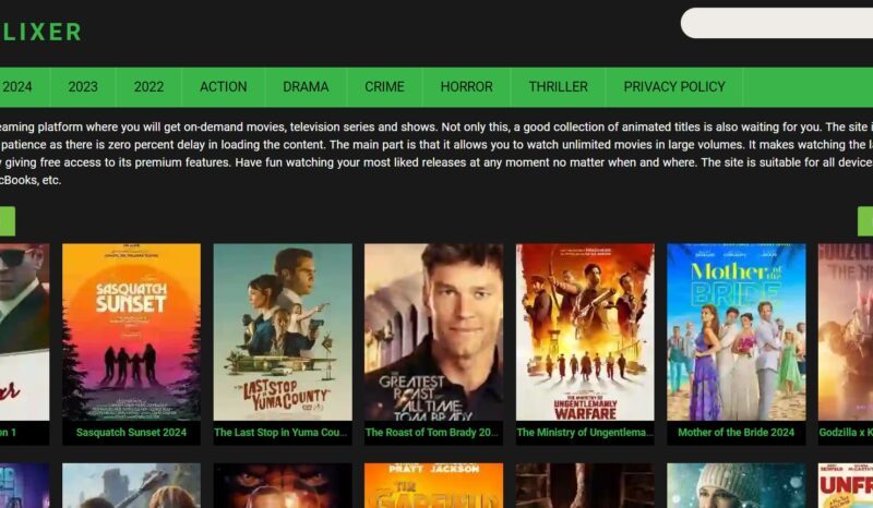 Myflixer Watch Movies and Series Online Free in Full HD: What You Need to Know