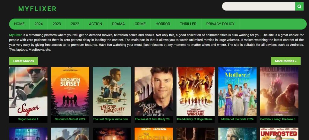 Myflixer Watch Movies and Series Online Free in Full HD: What You Need to Know