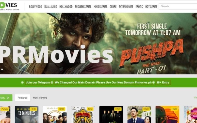 The Rise and Fall of prmovies: A Timeline of Piracy and Legal Action